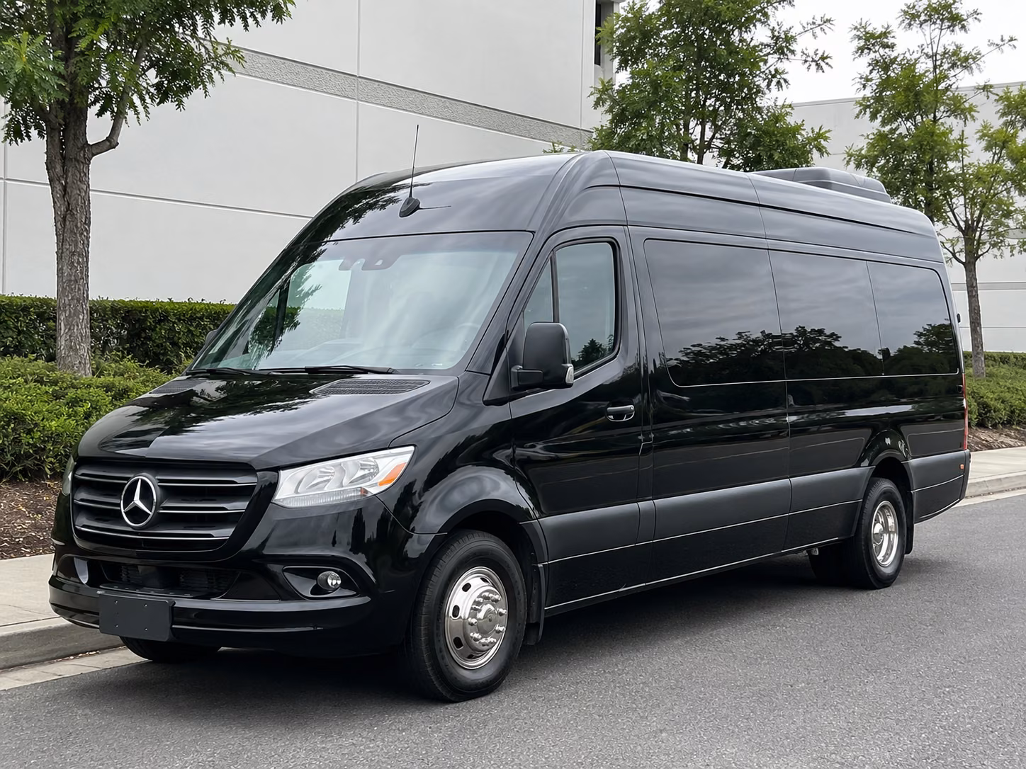 vallejo birthday party transportation